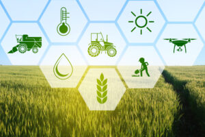 Blockchain and Smart Farming: A Synergistic Approach in Agritech