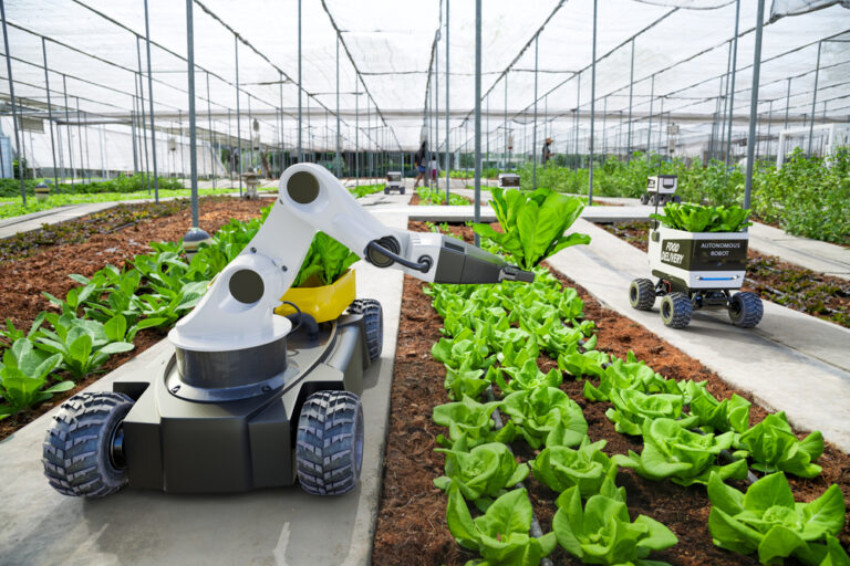 Innovations in Agritech: Transforming the Future of Farming